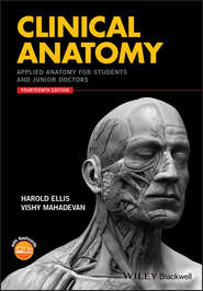 Clinical Anatomy. Applied Anatomy for Students and Junior Doctors