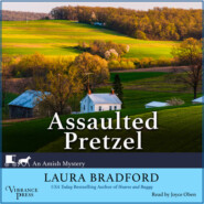 Assaulted Pretzel - An Amish Mystery, Book 2 (Unabridged)