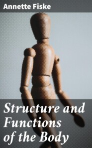 Structure and Functions of the Body
