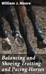 Balancing and Shoeing Trotting and Pacing Horses