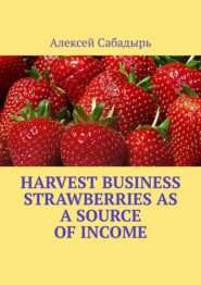 Harvest Business Strawberries as a Source of Income