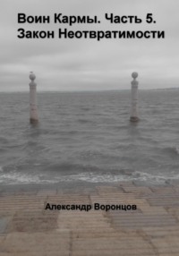 69852064 [Александр Воронцов] Воин Кармы. Часть 5. Закон Неотвратимости