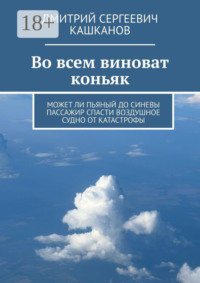 71040568 [Дмитрий Сергеевич Кашканов] Во всем виноват коньяк. Может ли пьяный до синевы пассажир спасти воздушное судно от катастрофы