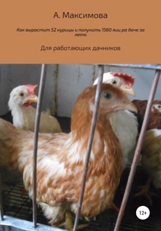 Сырые яйца — польза и вред для организма, что будет, если есть сырые яйца каждый день