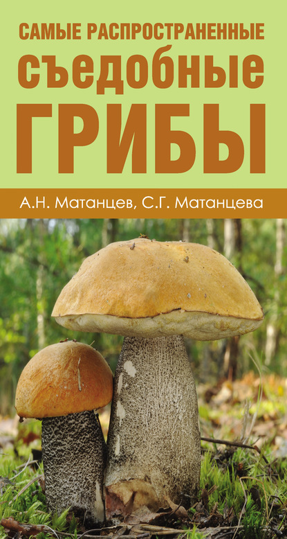 Александр Матанцев — Самые распространенные съедобные грибы