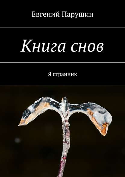 Книга снов