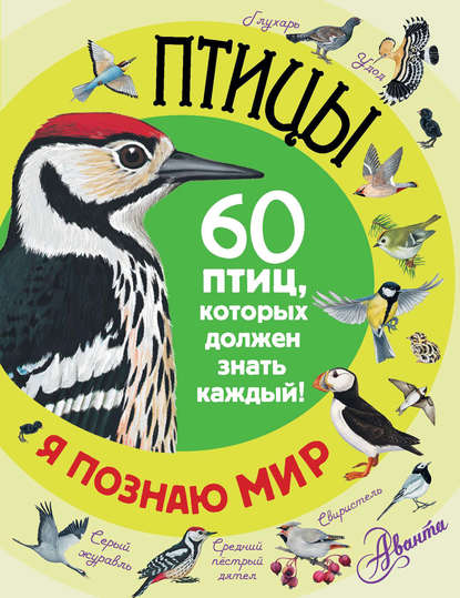 Группа авторов - Птицы. 60 птиц, которых должен знать каждый