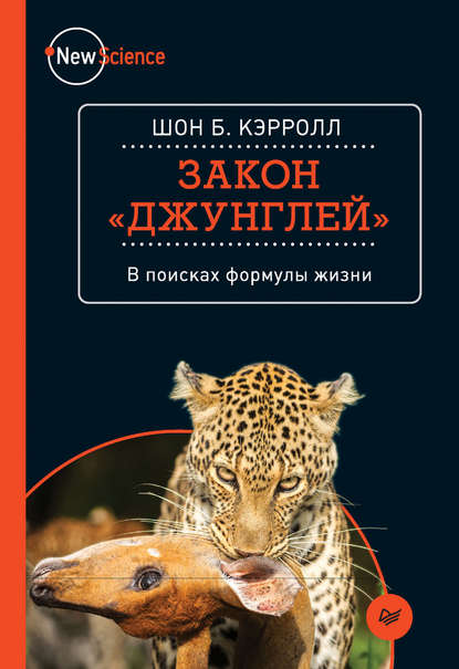 

Закон «джунглей». В поисках формулы жизни