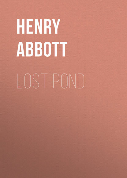 Abbott Henry — Lost Pond