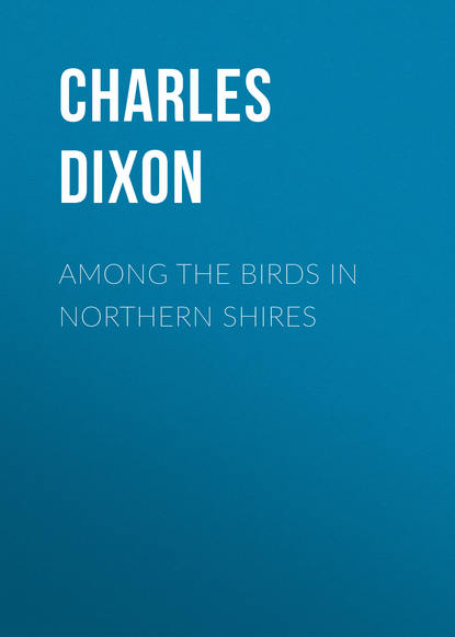 Among the Birds in Northern Shires (Charles Dixon). 