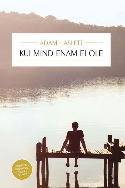 Adam Haslett - Kui mind enam ei ole