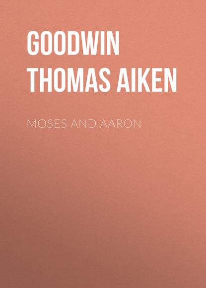 Moses and Aaron (Goodwin Thomas Aiken). 