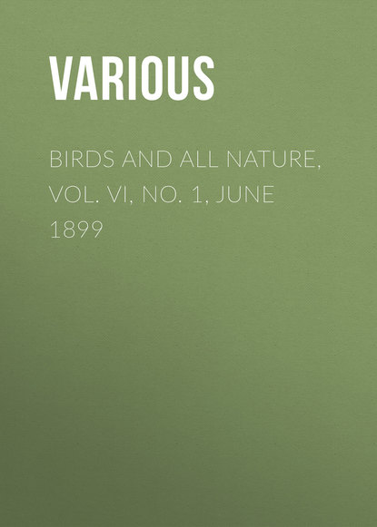 Various — Birds and All Nature, Vol. VI, No. 1, June 1899