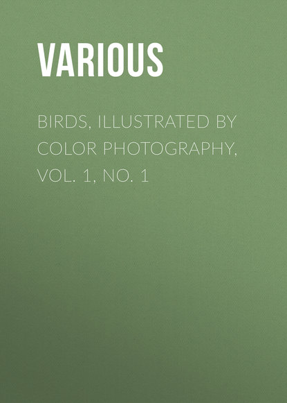 Birds, Illustrated by Color Photography, Vol. 1, No. 1 - Various