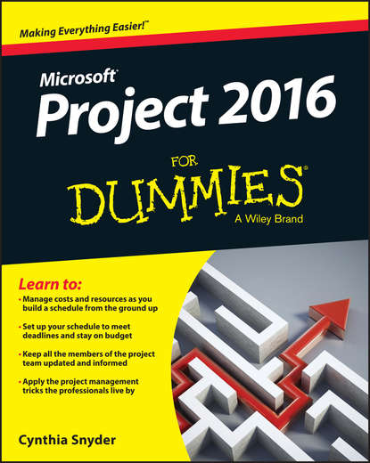 Cynthia Snyder Dionisio - Project 2016 For Dummies