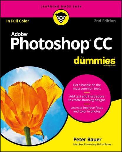 Peter  Bauer - Photoshop CC For Dummies