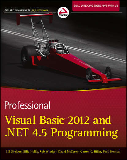 Professional Visual Basic 2012 and .NET 4.5 Programming - Billy  Hollis