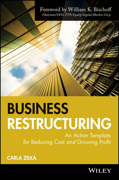 Carla  Zilka - Business Restructuring. An Action Template for Reducing Cost and Growing Profit
