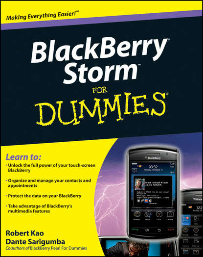 Robert  Kao - BlackBerry Storm For Dummies
