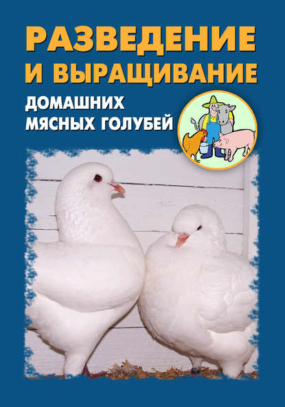 Илья Мельников — Разведение и выращивание домашних мясных голубей