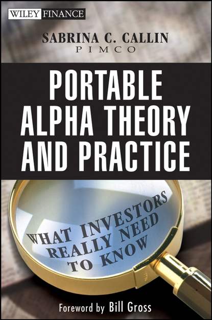 Portable Alpha Theory and Practice. What Investors Really Need to Know (Sabrina  Callin). 