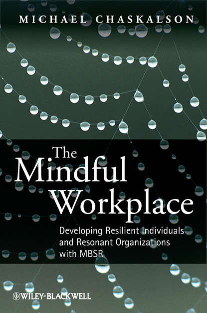 Michael Chaskalson - The Mindful Workplace. Developing Resilient Individuals and Resonant Organizations with MBSR
