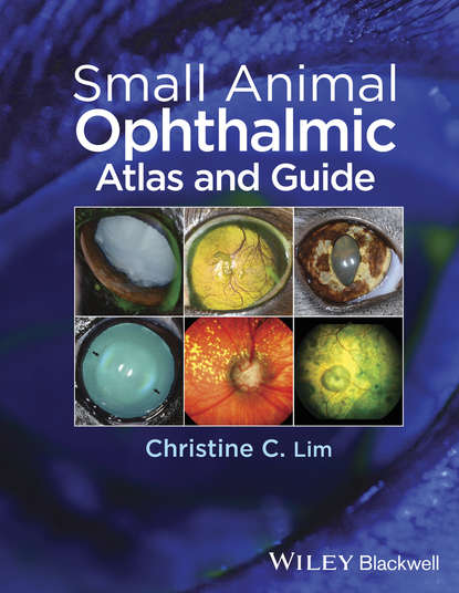 Small Animal Ophthalmic Atlas and Guide