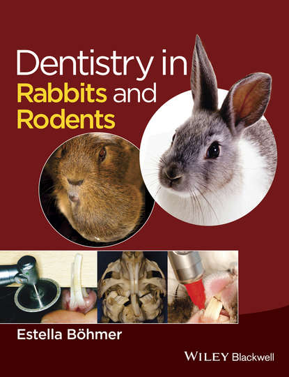 Estella Böhmer - Dentistry in Rabbits and Rodents