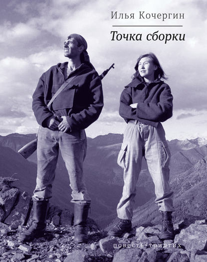 Точка сборки (сборник) Кочергин Илья