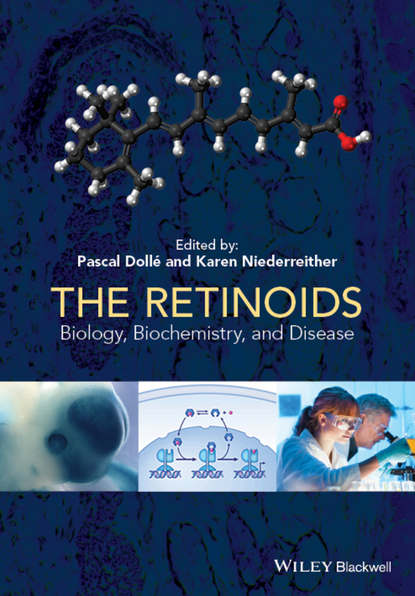 The Retinoids. Biology, Biochemistry, and Disease (Niederreither Karen). 