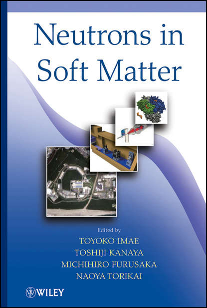 Группа авторов - Neutrons in Soft Matter