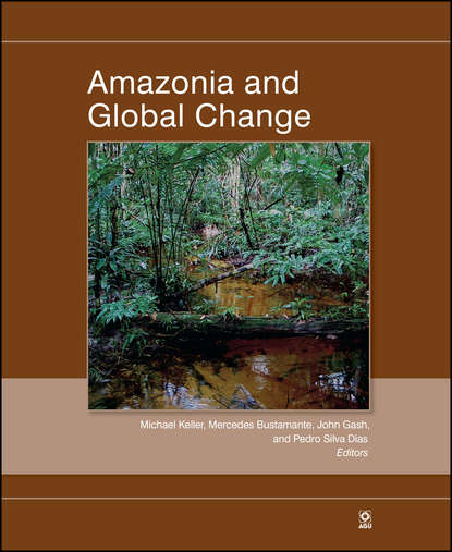 Группа авторов - Amazonia and Global Change