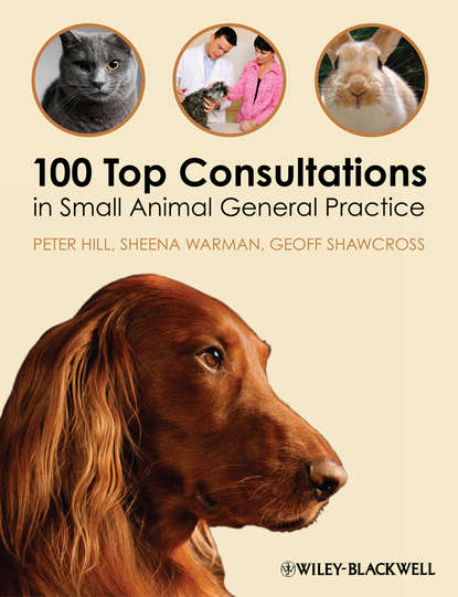 Peter  Hill - 100 Top Consultations in Small Animal General Practice