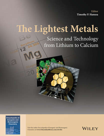 Timothy P. Hanusa - The Lightest Metals