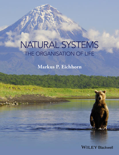 Natural Systems - Markus Eichhorn