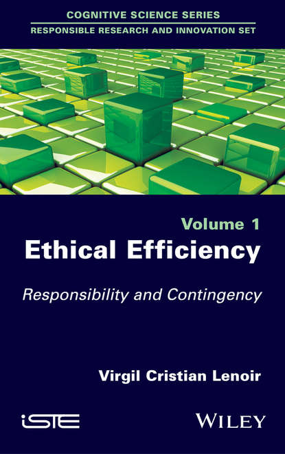 Ethical Efficiency - Virgil Cristian Lenoir