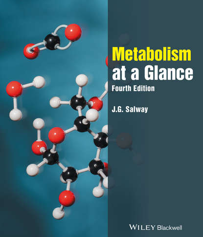 Metabolism at a Glance - J. G. Salway