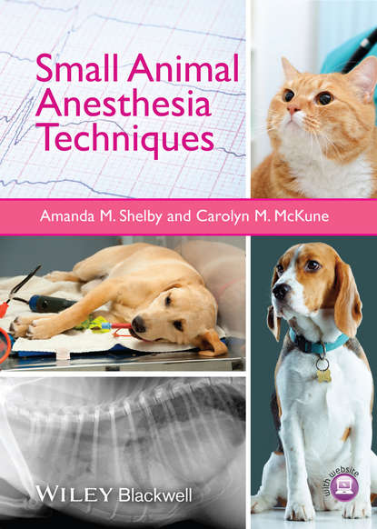 Small Animal Anesthesia Techniques