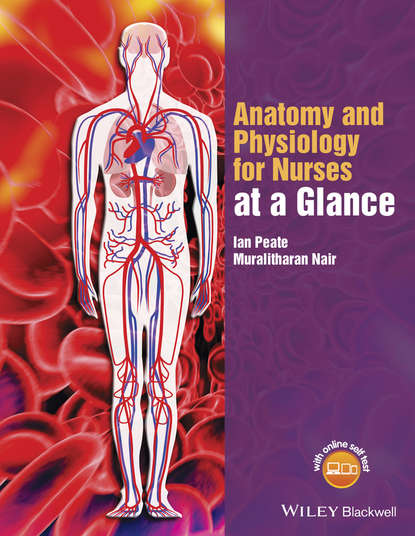 Anatomy and Physiology for Nurses at a Glance - Ian  Peate