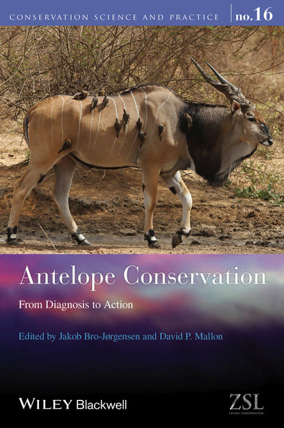 Группа авторов - Antelope Conservation