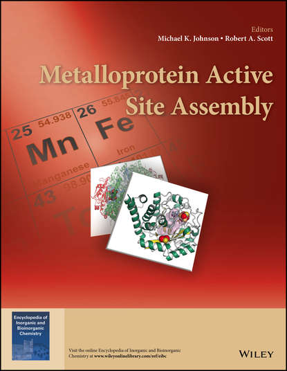 Группа авторов - Metalloprotein Active Site Assembly