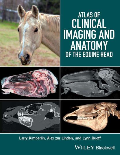 Larry Kimberlin - Atlas of Clinical Imaging and Anatomy of the Equine Head