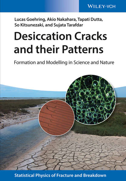 Tapati  Dutta - Desiccation Cracks and their Patterns
