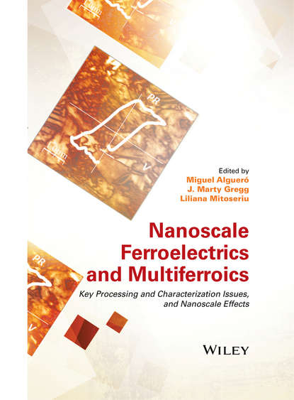 Nanoscale Ferroelectrics and Multiferroics - Группа авторов