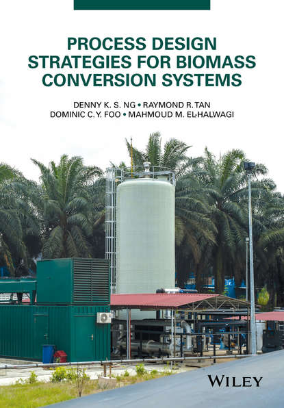 Denny K. S. Ng - Process Design Strategies for Biomass Conversion Systems