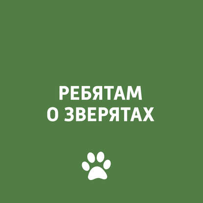 

Мимикрия