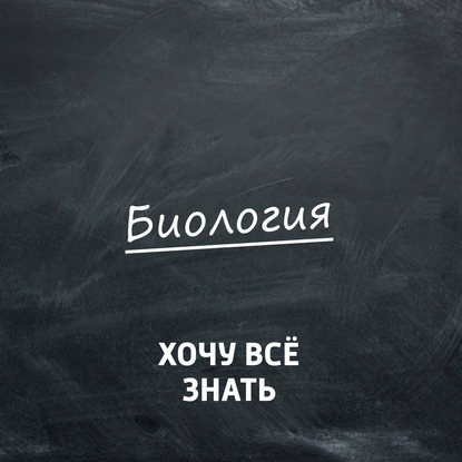 

Как общаются животные