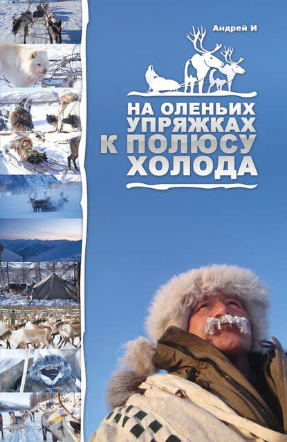 

На оленьих упряжках к Полюсу холода