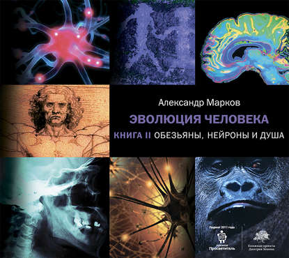 Александр Владимирович Марков - Обезьяны, нейроны и душа