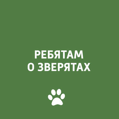

Экзотические птицы Тань-Шаня